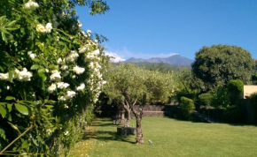 Casa Vacanze Prato Verde Zafferana Etnea